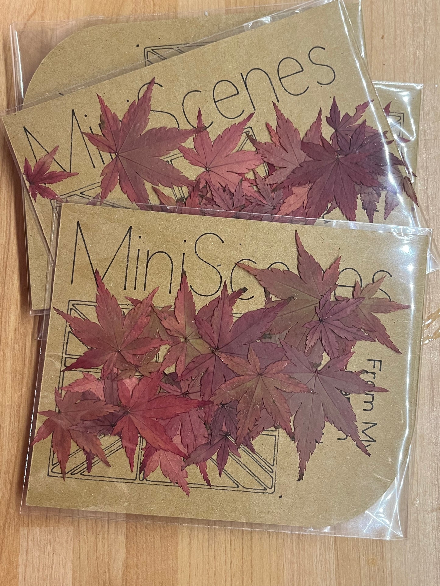 Acer (Japanese Maple) Bonsai Leaves for resin craft
