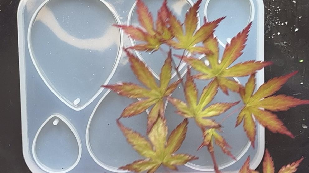 Acer (Japanese Maple) Bonsai Leaves for resin craft