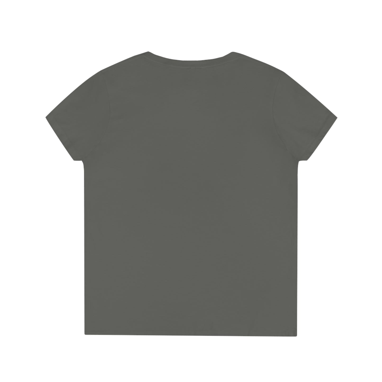 Ladies' V-Neck T-Shirt tee Guinea Pig Theme