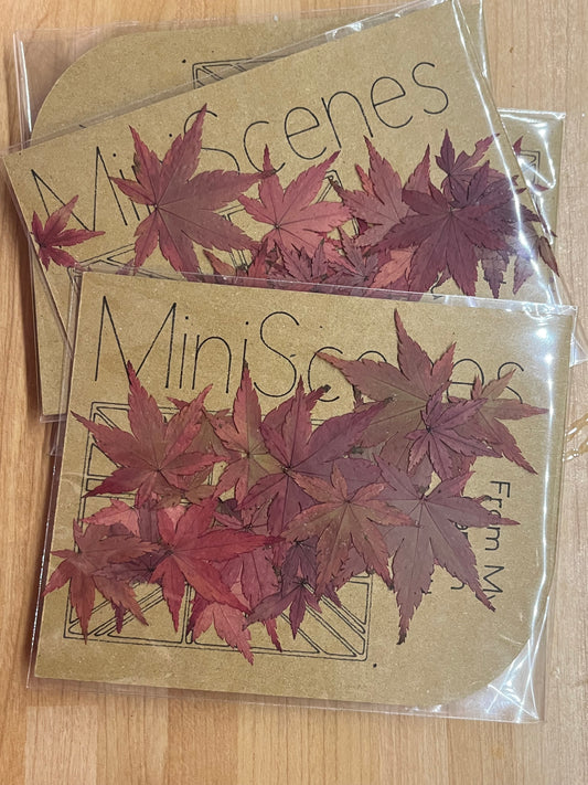 Acer (Japanese Maple) Bonsai  Leaves for resin craft